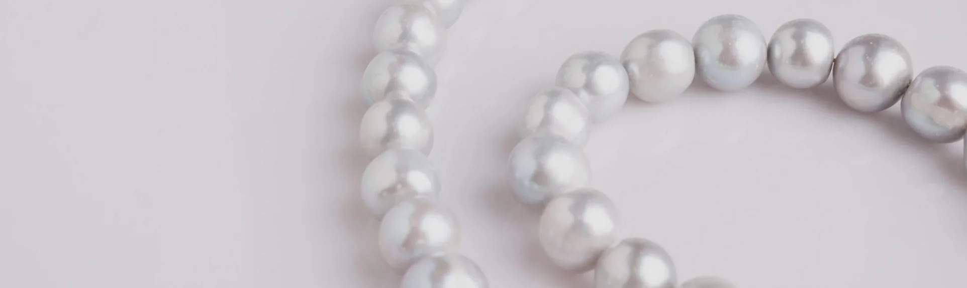 A coiled strand of cultured pearls